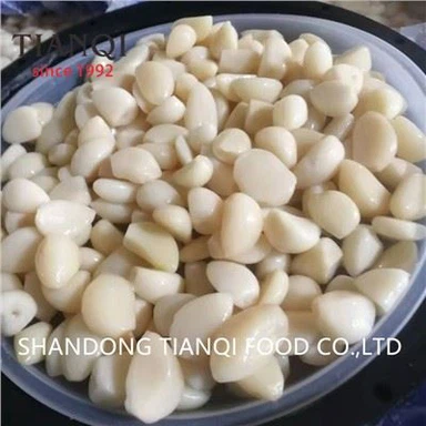 Dostawca obranego czosnku w zalewie w beczkach