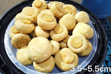 Solone grzyby w dużych bębnach