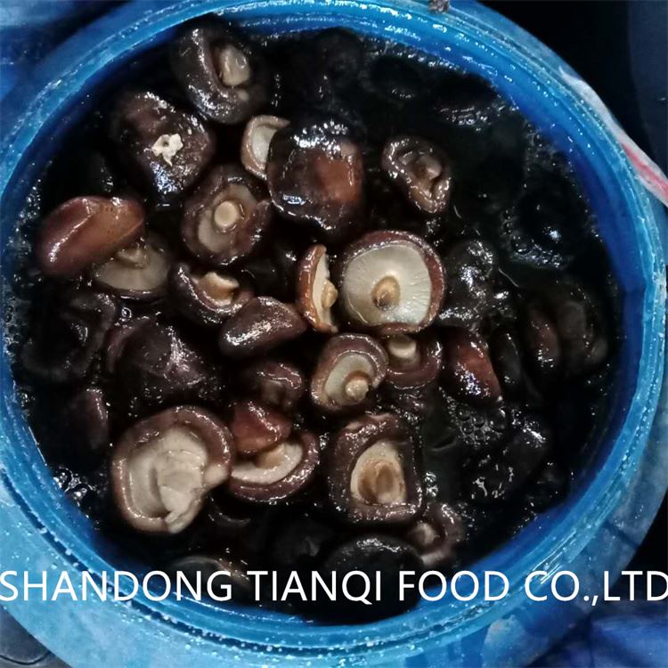 High quality shiitake in brine in drums