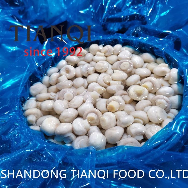White champignon mushroom in brine in drums