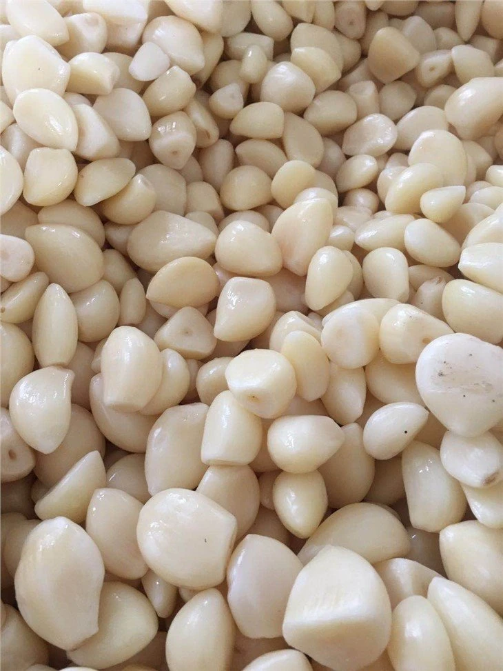 Salty normal white garlic in barrel