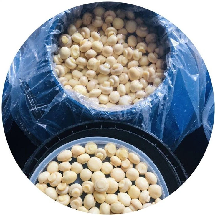 Drum packing Salted whole white mushroom