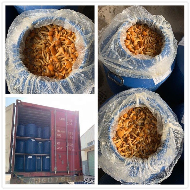 Preserved nameko in brine in drums