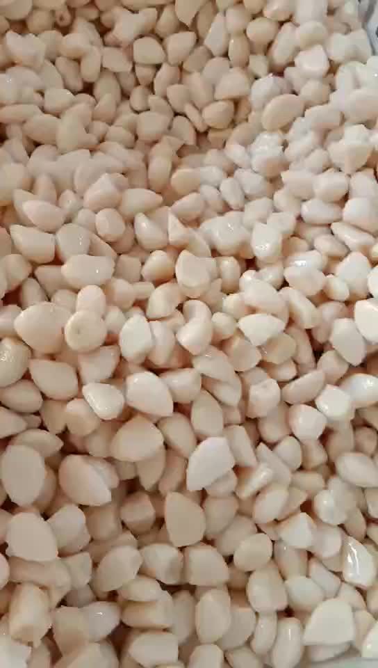 White garlic cloves in brine in drums