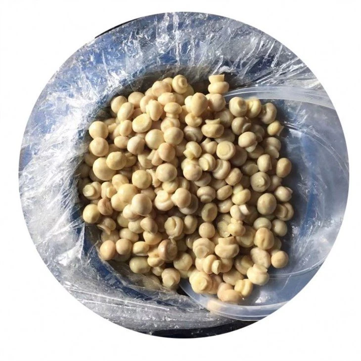 1.0-1.5cm whole champignon in brine in drums