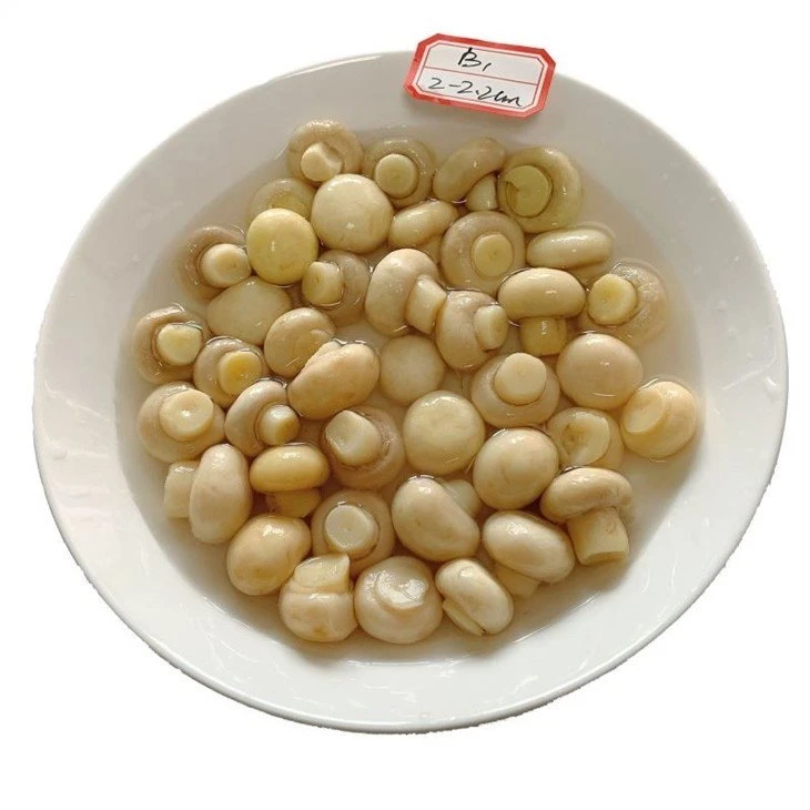 Whole white mushroom in brine in plastic drums