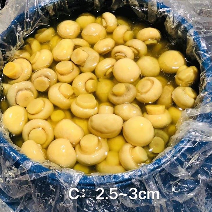 White mushroom in brine in drums