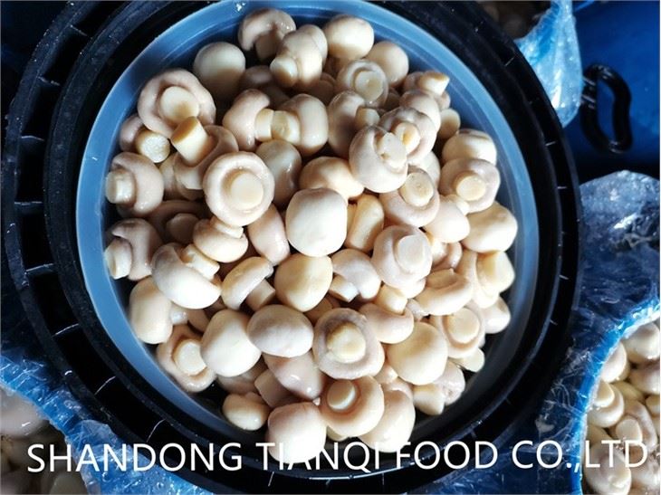 Whole & PNS Champignon Mushroom in brine in drums