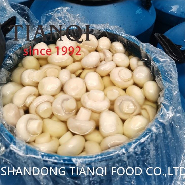Pickled white Mushroom in Drum in salted water