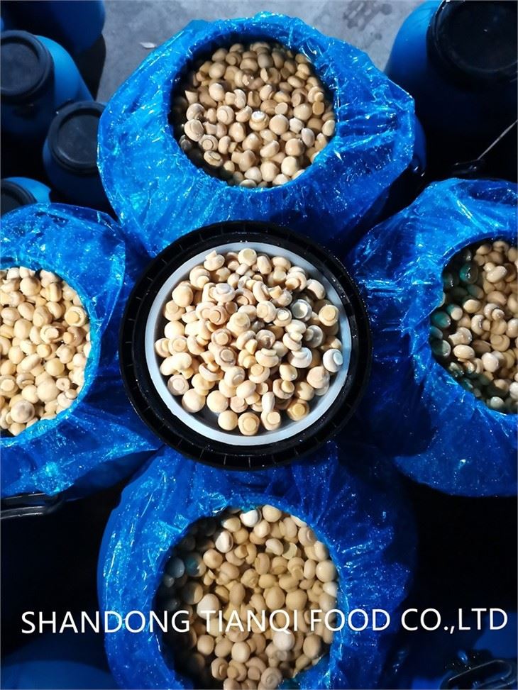 Salted whole white mushroom in drums