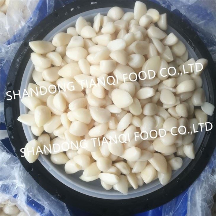 New crop pickled garlic in brine in drums