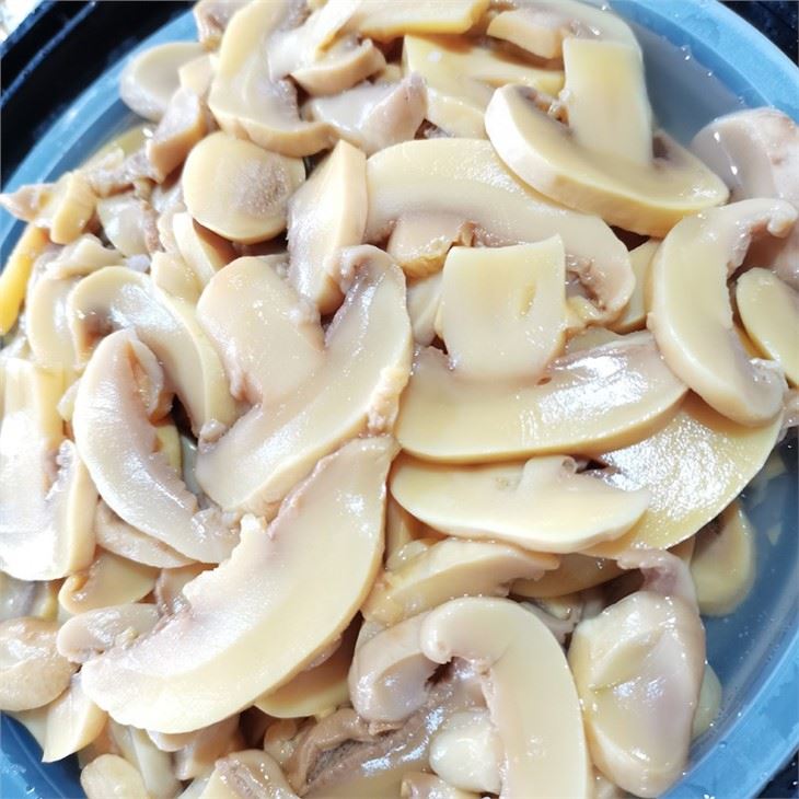 Drum packing PNS white mushroom in brine