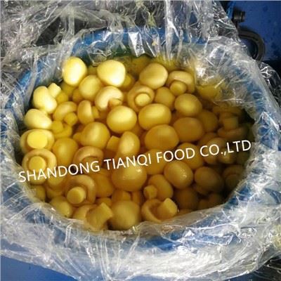 Całe pieczarki w SO2 w bębnach