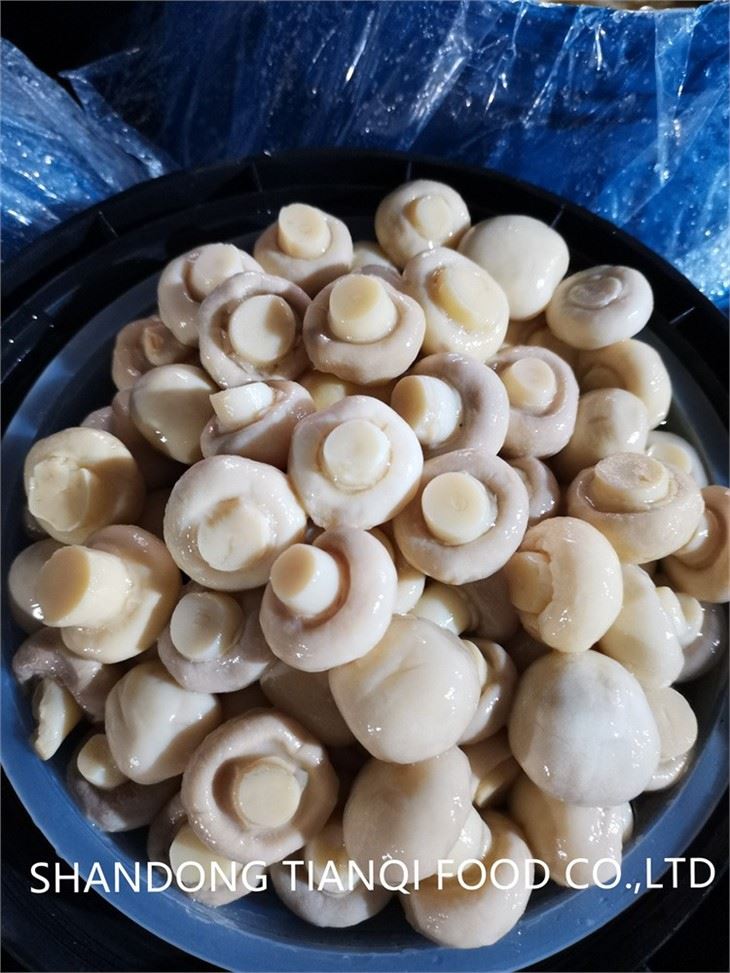 Preserved salted mushroom in big drum