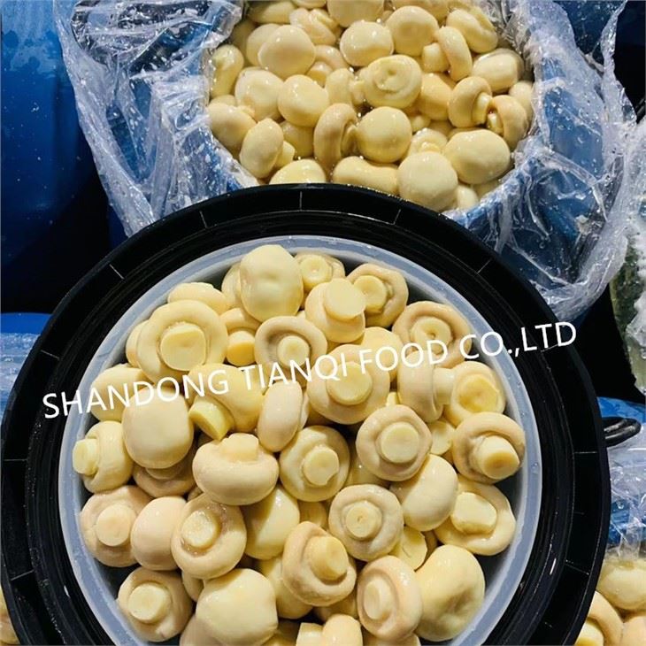 Whole white mushroom in drums