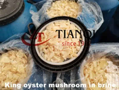 Grzyb królewski Olyster w solance w bębnach o wysokiej jakości